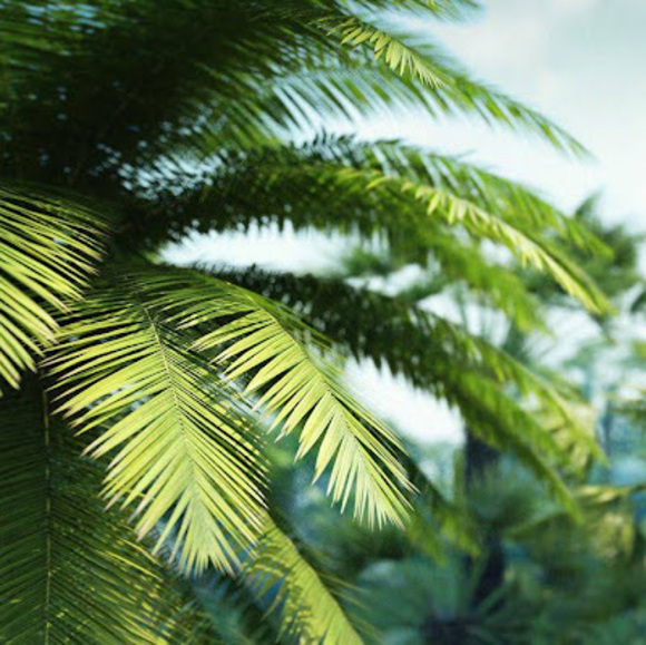 Meet your Posher, Sabrina - Picture 1 of 1